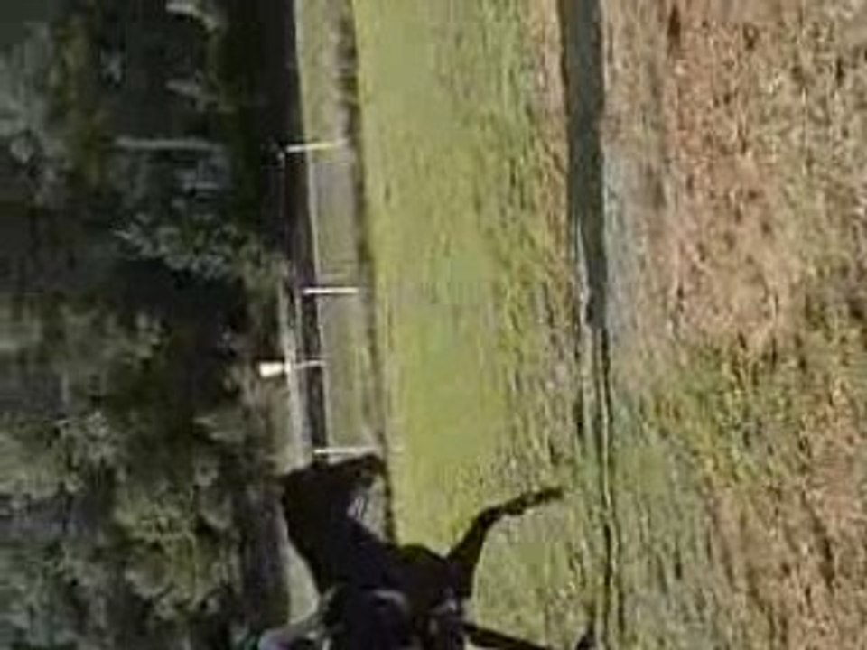 ma soeur parcours obstacles avec lulu