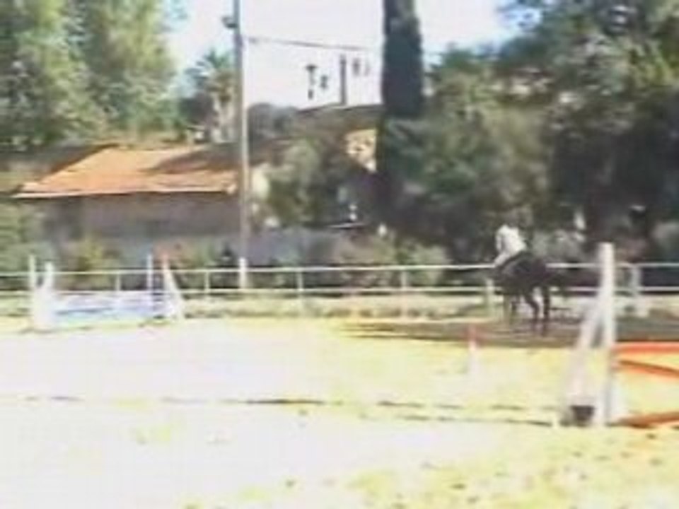 Pauline et Ficus