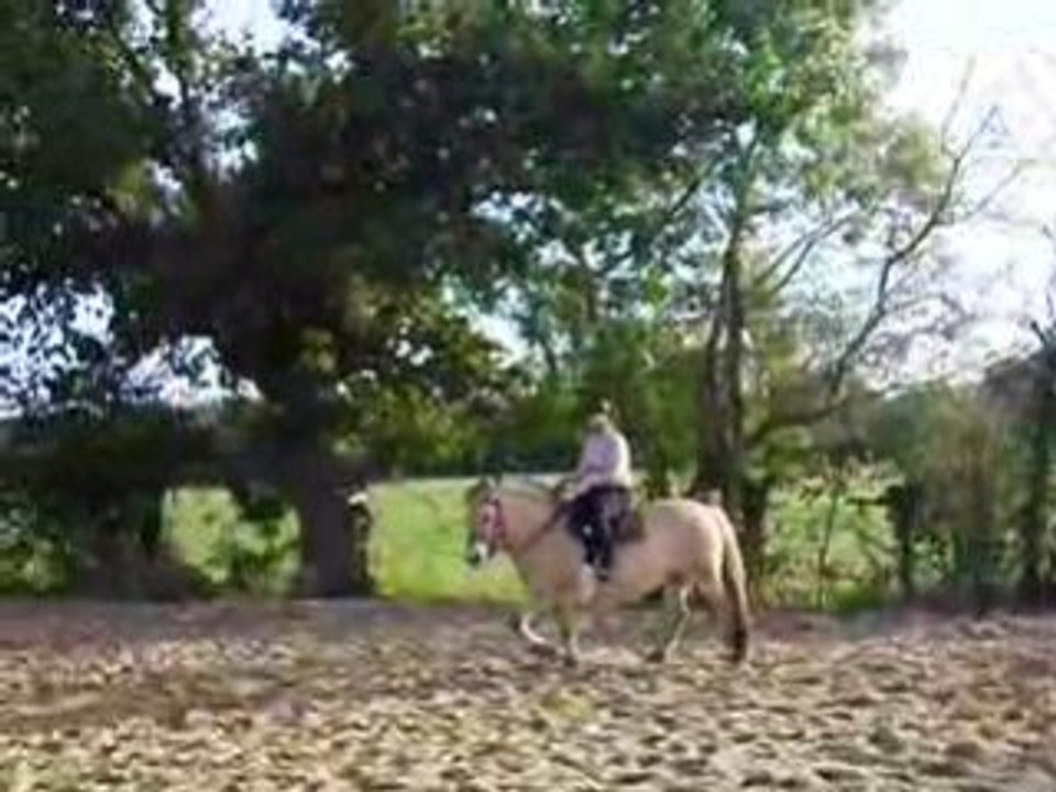 IMGP0415