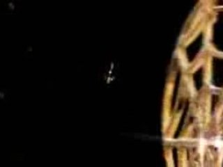 LVMH Corporate Movie _ Film Institutionnel