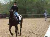 dressage appuyer