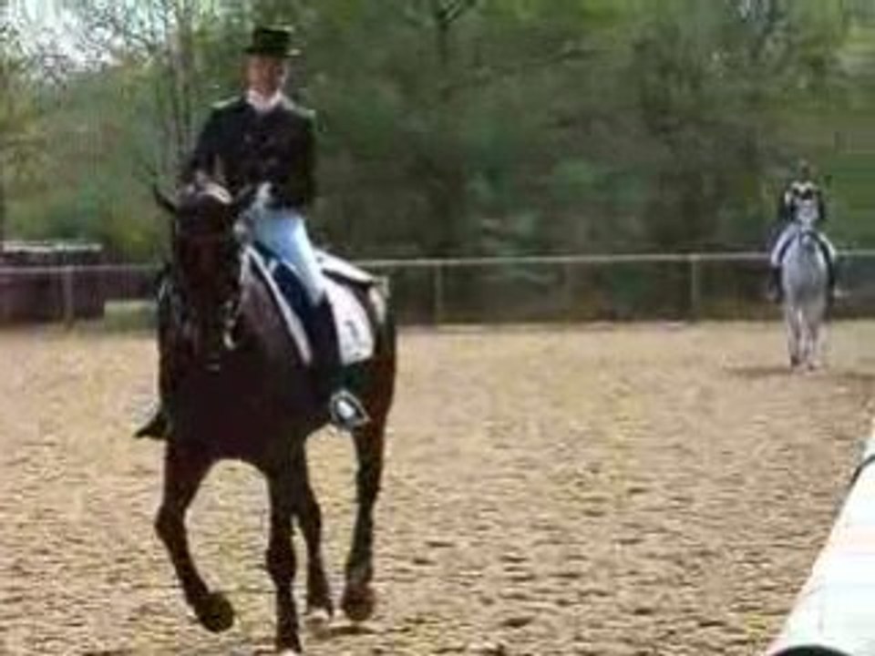 dressage appuyer