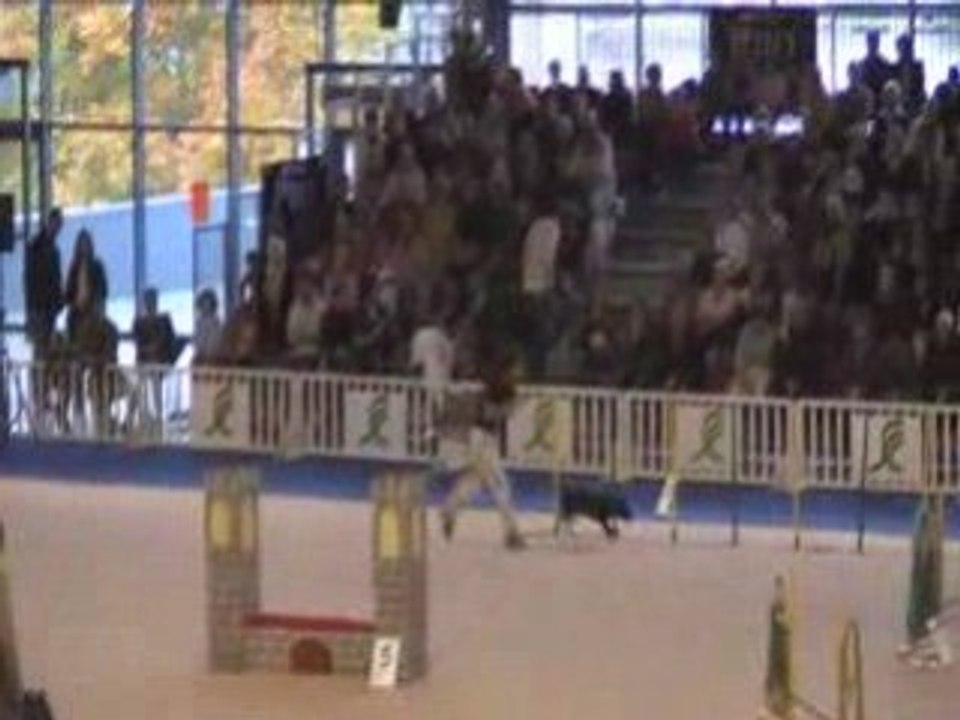 Vodka Jumping Grand Prix de Nantes