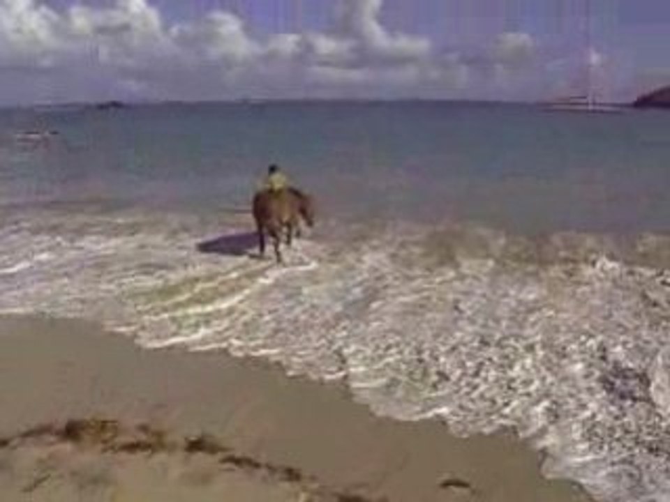 Toska à la mer dimanche 26 oct 2008