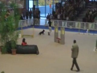 Relais Agility Beaujoire