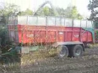 Ensilage 2008 038