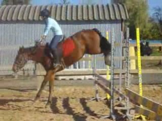 Vidéo saut d'obstacle le 25/10/2008