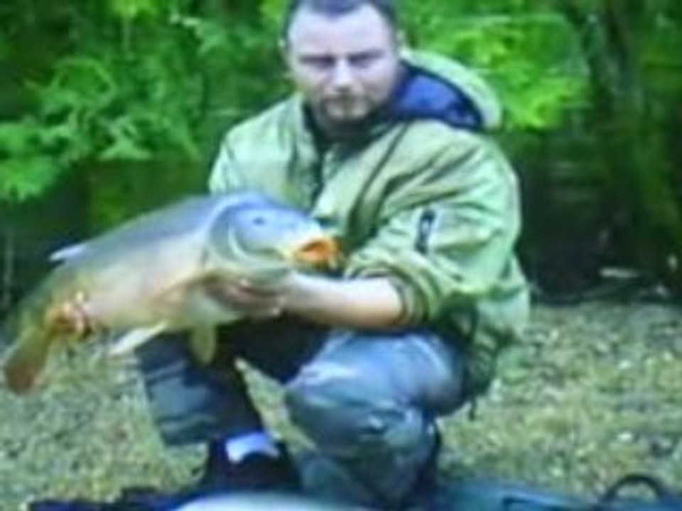 dam's carpe