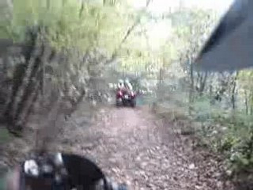 rando du 25 oct Dans les bois