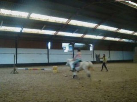 Nalha obstacle en longe + travail position Olivia