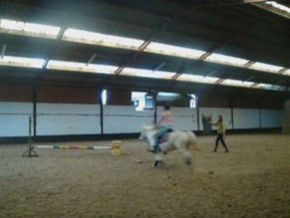 Nalha obstacle en longe + travail position Olivia