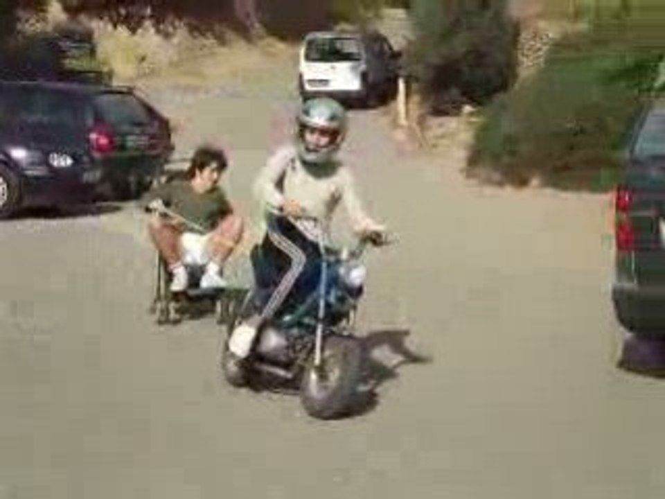 jackass de corbara 2