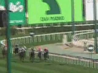 2008 (411) PREMIO PEPSI (CATEGORIA C) (TALISMANIX)