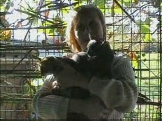 une journée presque comme les autres