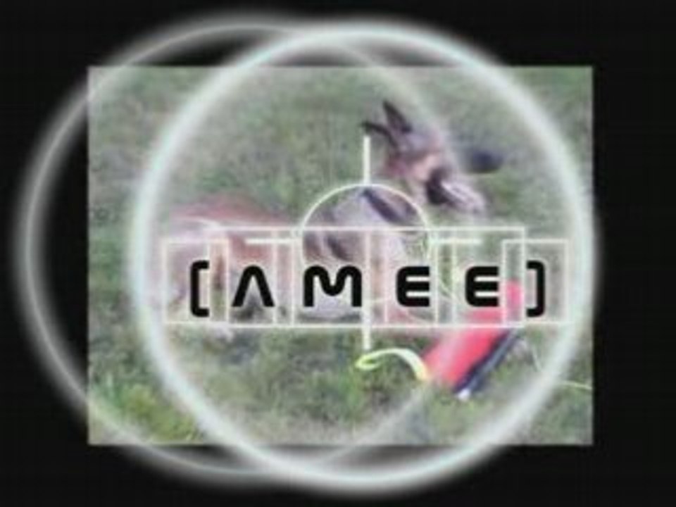 AMEE - Schutz/Sucharbeit