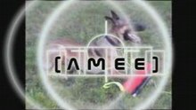 AMEE - Schutz/Sucharbeit