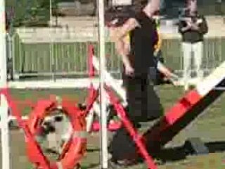 Verylee ipac 2008-1-