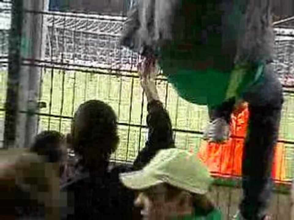 ASSE 0-2 GRENOBLE => BRONCA FIN DE MATCH