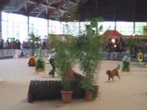 Bullit jumping Grand prix de Nantes