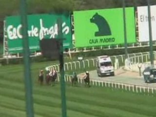 2008 (415) COPA DE CRIADORES (CATEGORIA B) (TIRILLAS)