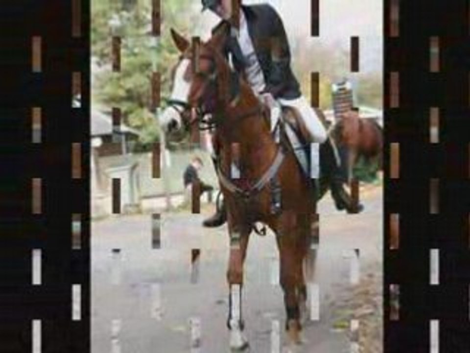 Nordika - draveil port aux cerises