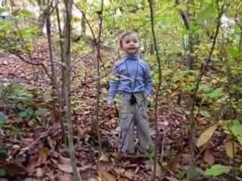 1008 rock et lindy hop