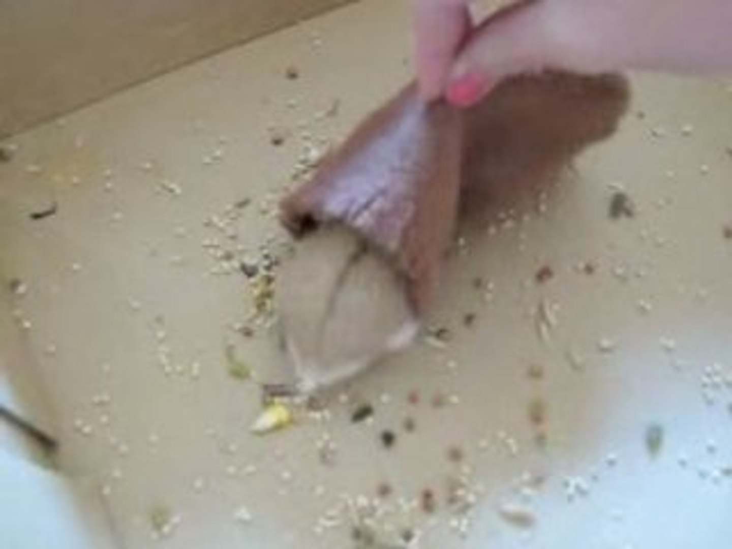 ⁣Hamster Beds: Best Pet Supply Your Hamsters Will Love!