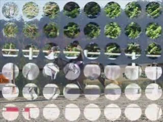 Stage haras de bernieres_0001