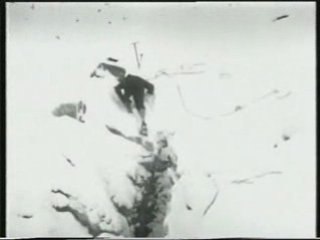 Sur les traces de l'arche de Noe(1)