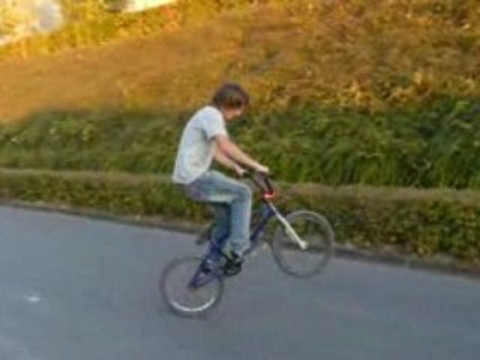 3.6 tailtap