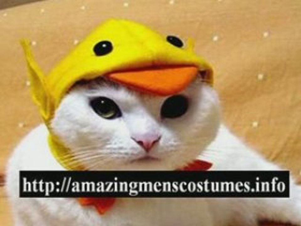 plus size halloween costumes