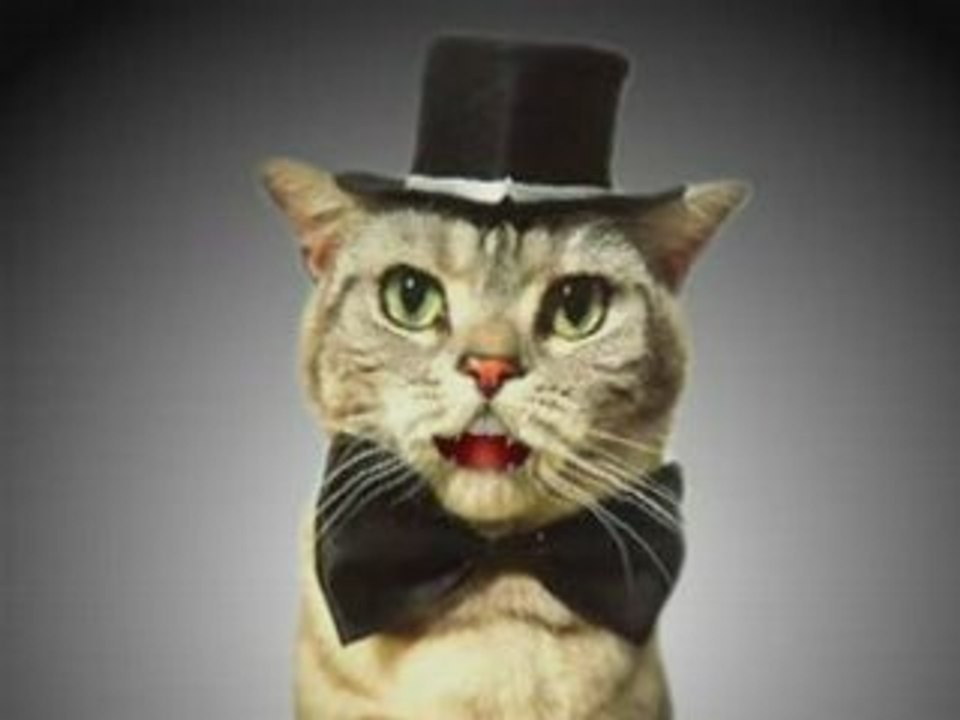 www.KaBoomCash.com The Cash Leveraging System Cat
