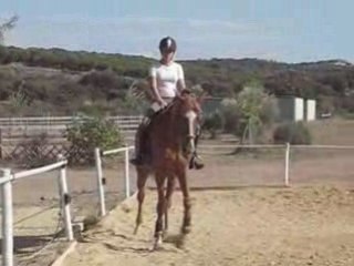 Dressage avec Serge BALBIN