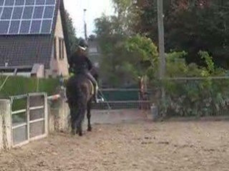 Travail plat octobre 2008