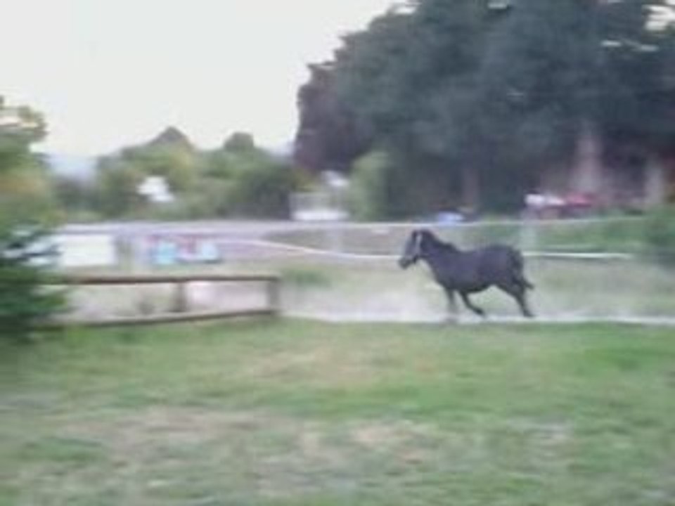 Flo et Prince sur le cross