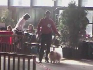 Jugement Niko Cambrai