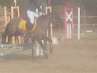 Première compet' Officiel