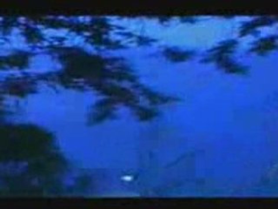 Tempo zouk _ Paradis Lanmou