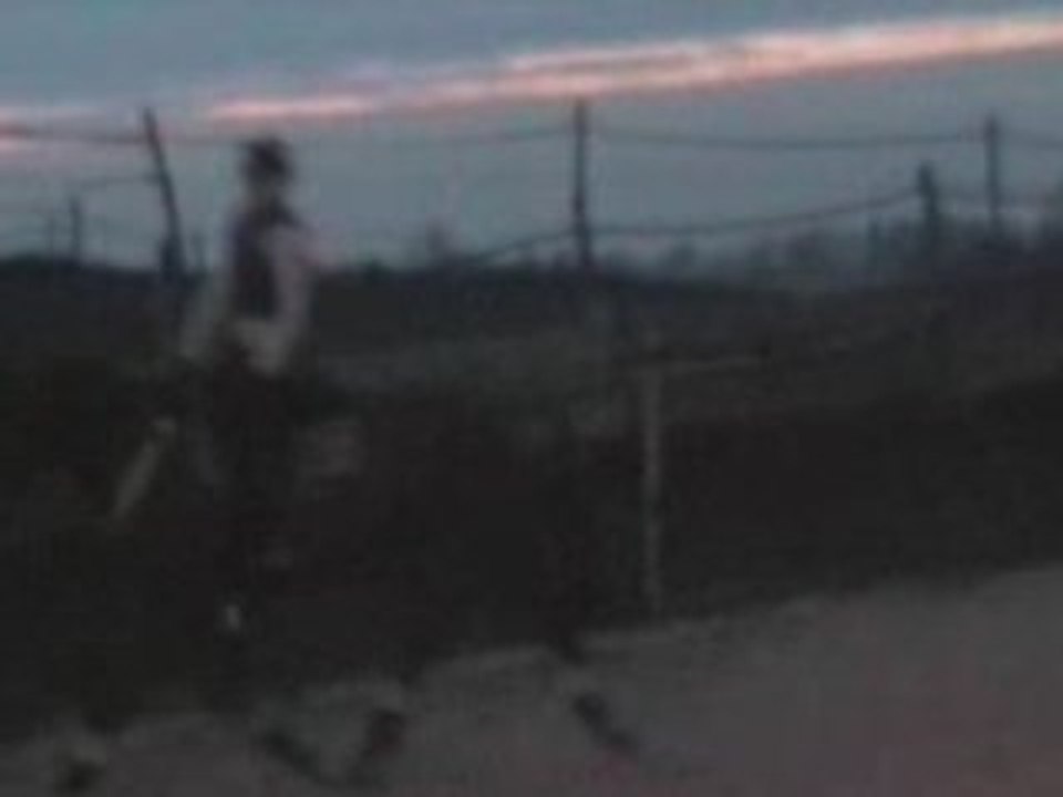 Le trot