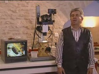 Bio-attitude sans béatitude