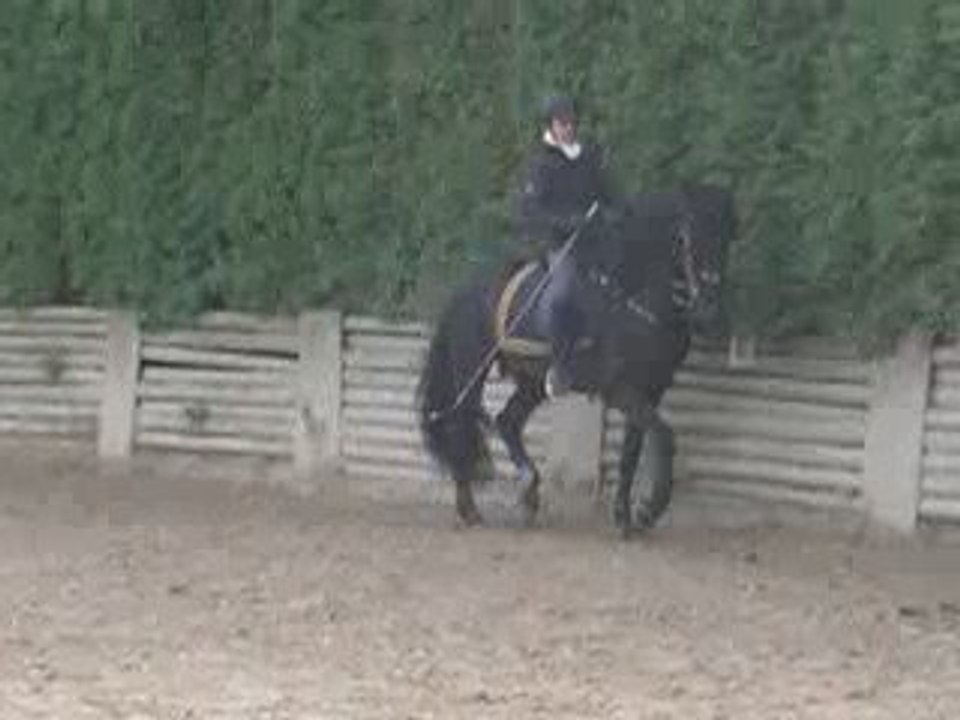 Travail plat octobre 2008