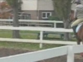 cours d'équitation