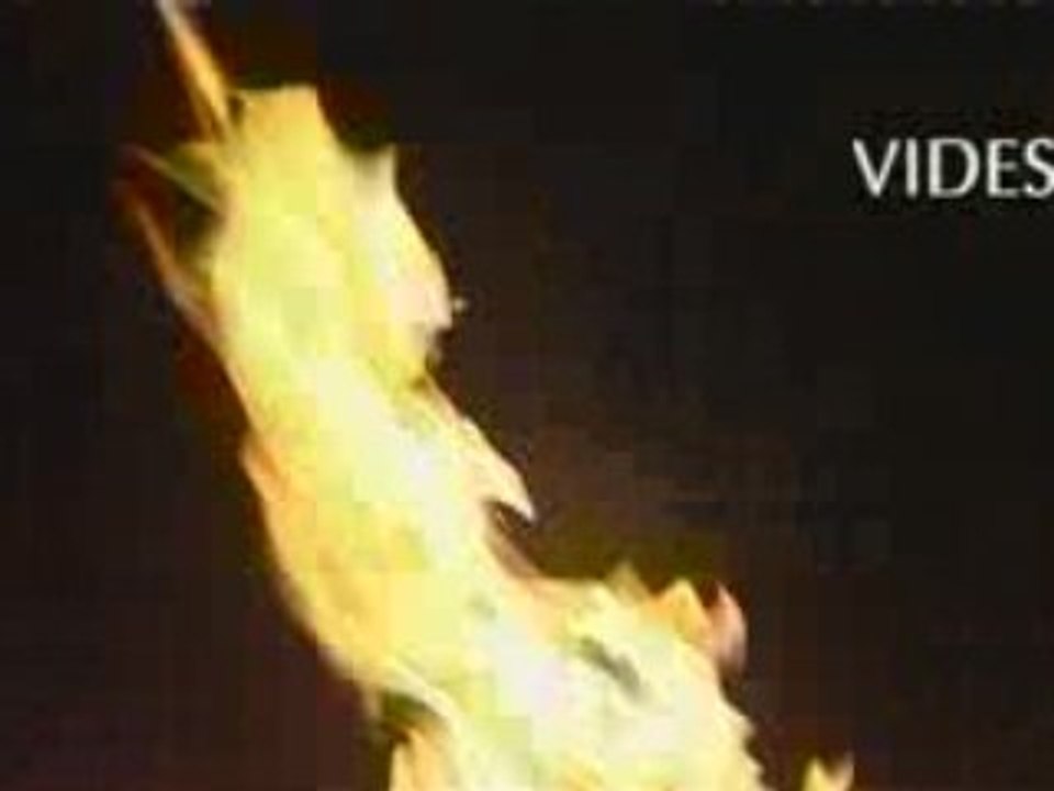 Fes-ho mirar 07: Vides