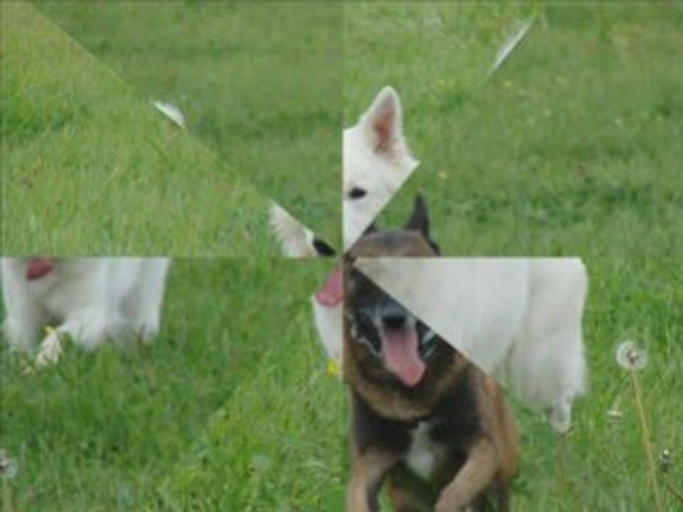 Balade du 26.10.2008 chucky chado sniper