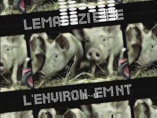 Le mag de l'environnement