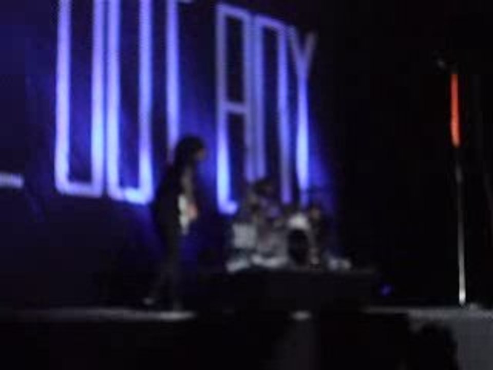 CONCERT FALL OUT BOY ENTREE EN SCENE