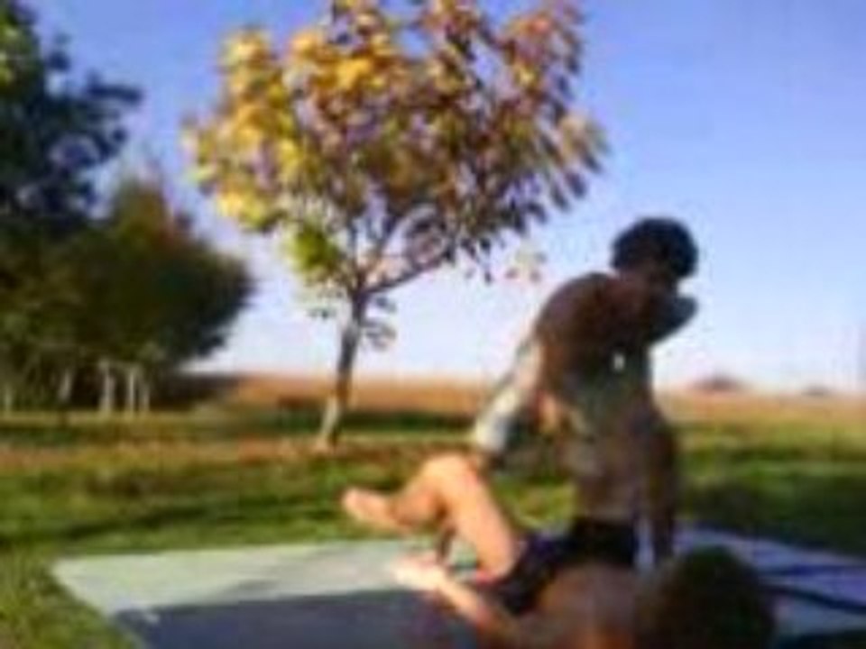 Free fight