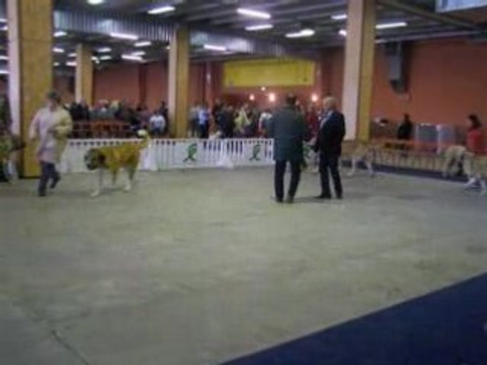 Nantes COM08
