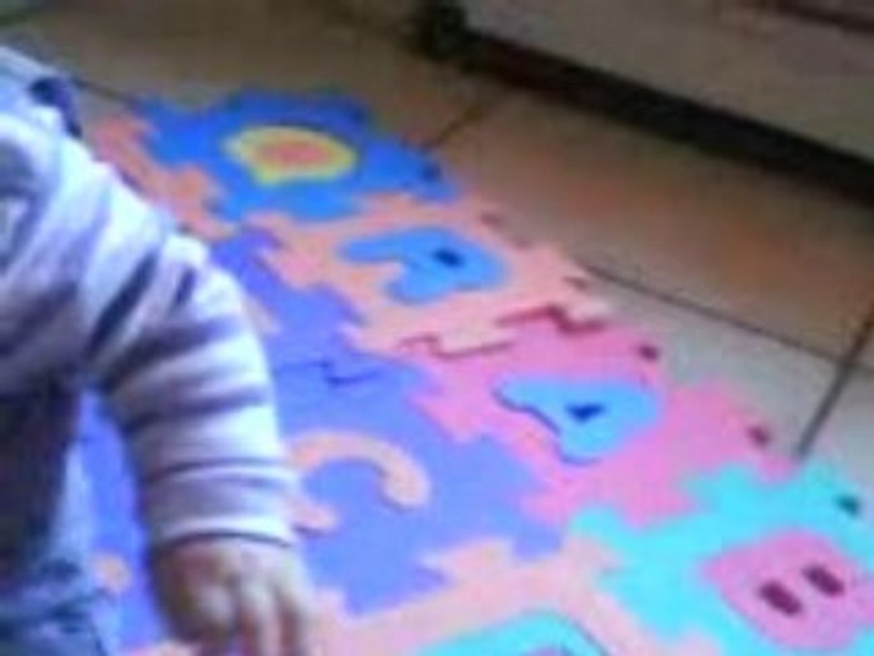 1er rapprochement avec son chaton 171008