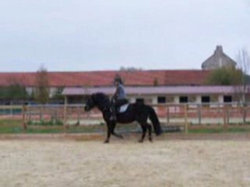 Samedi 25 Oct. 008